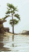 A body of water surrounded by trees and rocks video