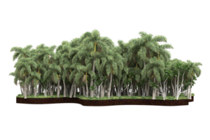 Realistic forest isolated on transparent background. 3d rendering - illustration png