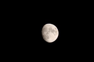 Full Moon Bright In the Fall Sky in Pensacola Florida, United States October 23 2023 photo