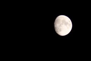 Full Moon Bright In the Fall Sky in Pensacola Florida, United States October 23 2023 photo