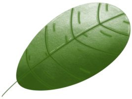 vert feuilles chute png