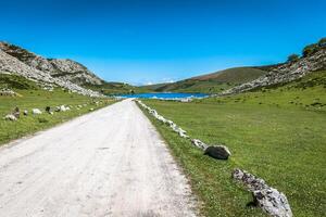 Landscapes around Lake Enol, one of the famous lakes of Covadonga, Asturias , Spain photo