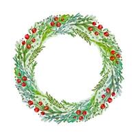 Watercolor wreath with christmas tree branches and holly berries vector