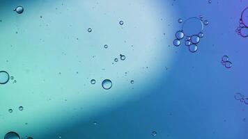 Abstract Colorful Food Oil Drops Bubbles and spheres Flowing on Water Surface video