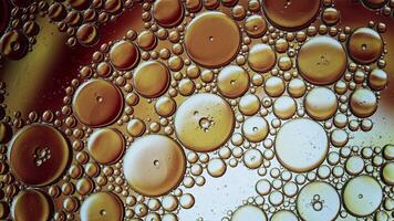 Abstract Colorful Food Oil Drops Bubbles and spheres Flowing on Water Surface video