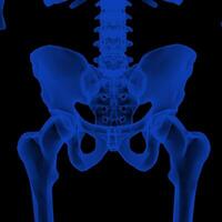 radiografía visión de el humano cuerpo y huesos. foto