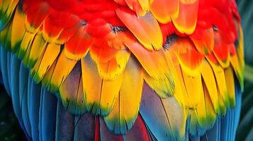 ai generado un cerca arriba de un multicolor loro plumas foto