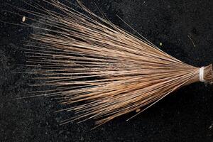 The texture of the palm fiber broom, which is often used to sweep floors or clean dirty wall surfaces, can be seen from the front with natural lighting. photo