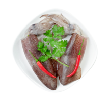 squid on dish with chili and coriander isolated png