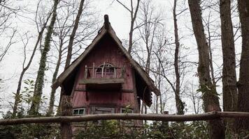 alt hölzern Dorf Haus im Wald video