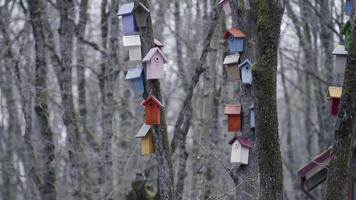 bunt wenig Vogel Häuser auf Bäume video