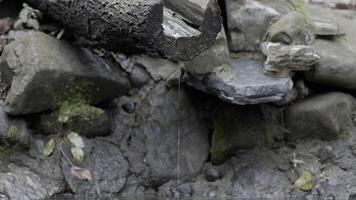 acqua primavera a partire dal acqua di legno canale nel natura video