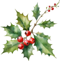 AI generated Watercolor painting of a Holly Berries. png