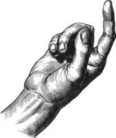 AI generated hand gesture in old engraving style for drawing reference black color only vector