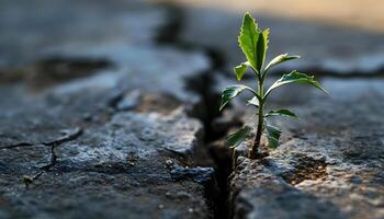 ai generado un pequeño planta brotante fuera de un grieta en el suelo foto