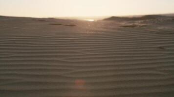 sablonneux dune vagues à lever du soleil video