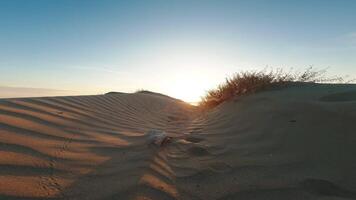 plus de sablonneux dunes à le coucher du soleil video