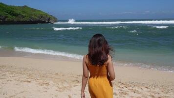 costas Visão do indonésio mulher vestindo lindo amarelo vestir caminhando de a de praia. fêmea turista em verão período de férias video