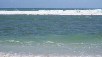 mar olas chapoteo en playa costa. rotura olas a el playa. Oceano ola salpicaduras en línea costera. video