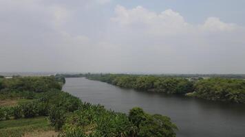 Antenne Aussicht von Bengawan Solo Fluss im das Morgen, Fluss im zentral Java, Indonesien video