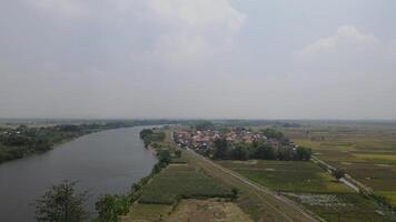 Aerial view of Bengawan Solo river in the morning, river in Central Java, Indonesia video