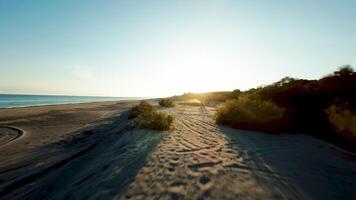 Sandy coastline at sun light video