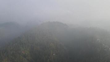 Rainy weather in mountains. Misty fog blowing over pine tree forest. Aerial footage of spruce forest trees on the mountain hills at misty day. Morning fog at beautiful autumn forest. video