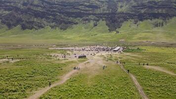 Aerial view of Mount Bromo savanna area full of tourists, which starts to turn green and fresh in the rainy season on a sunny morning video