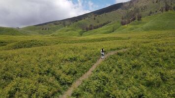 Aerial view of a girl walking on a hill track in Bromo after fires, Aerial view from Bromo a wonderful scenery in dramatic hill video