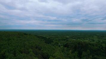 Antenne Aussicht von ein üppig Wald mit ein wolkig Himmel beim Dämmerung, präsentieren das Ruhe von Natur. video