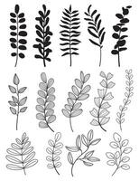conjunto de hojas. elementos decorativos dibujados a mano. ilustración vectorial vector