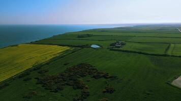 Aerial view of lush green fields with a patch of yellow flowers near a coastline under a clear sky. video