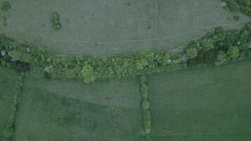 Aerial footage of the empty field and some trees in England video