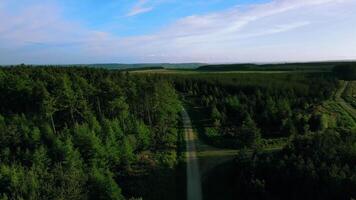 antenn se av en frodig grön skog med en smuts väg skärande genom, under en klar blå himmel. video