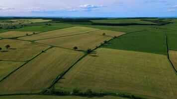 aérien vue de luxuriant les terres agricoles avec patchwork des champs en dessous de une clair ciel. video