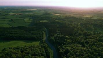 aereo Visualizza di un' sereno fiume avvolgimento attraverso un' lussureggiante verde paesaggio a tramonto. video