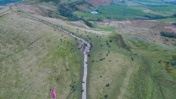 aereo Visualizza di un' avvolgimento strada attraverso verde rotolamento colline con sparpagliato alberi e arbusti. video