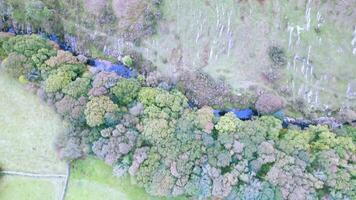 aéreo ver de un lozano verde bosque con un serpenteante río, exhibiendo el natural paisaje desde arriba. video