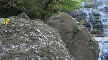Bewegung Hintergrund Natur Landschaft szenisch cigangsa Wasserfall video