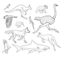 Vector set bundle of sketch Australia animal