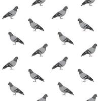 Vector seamless pattern of hand drawn pigeon