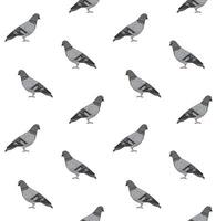 Vector seamless pattern of hand drawn pigeon