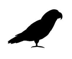 Vector hand drawn doodle gray African parrot silhouette