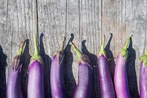 Organic Eggplant Layed out on a Farm Table After Harvest photo