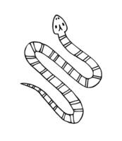 Vector hand drawn doodle sketch snake