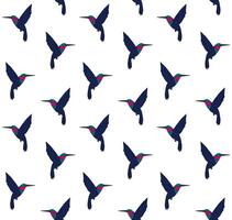 Vector seamless pattern of doodle hummingbird