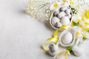 Easter festive card with eggs in plates with bunny ears, small bunnies, flowers on white. Copy space photo