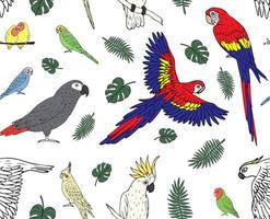 Vector seamless pattern of hand drawn parrot