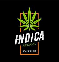 médico canabis icono, cdb, marijuana hoja símbolo vector