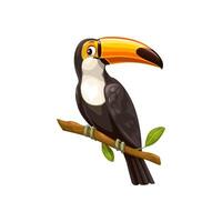 Toucan sitting on branch, vector tropical bird